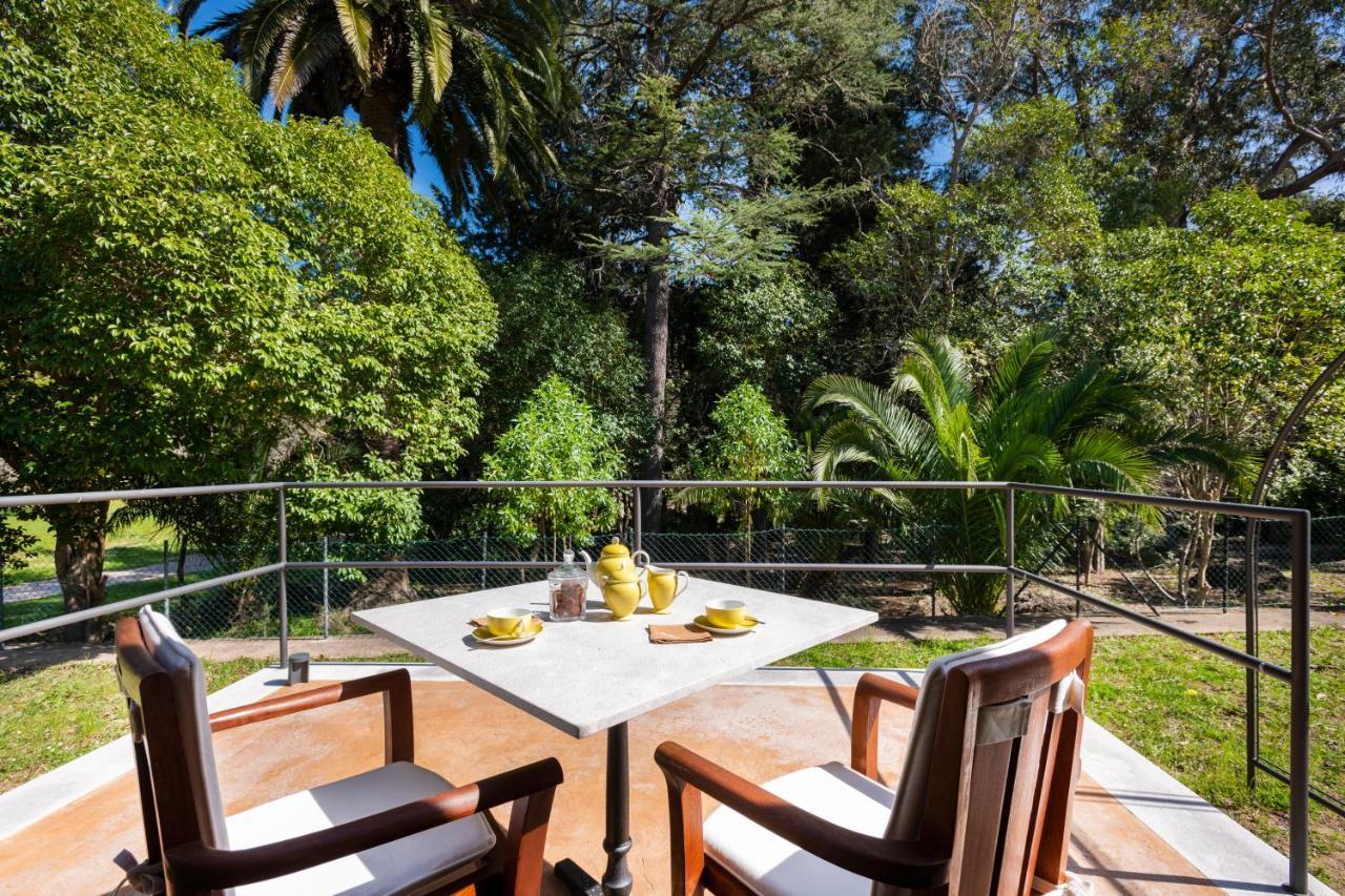 Suite Junior con terraza