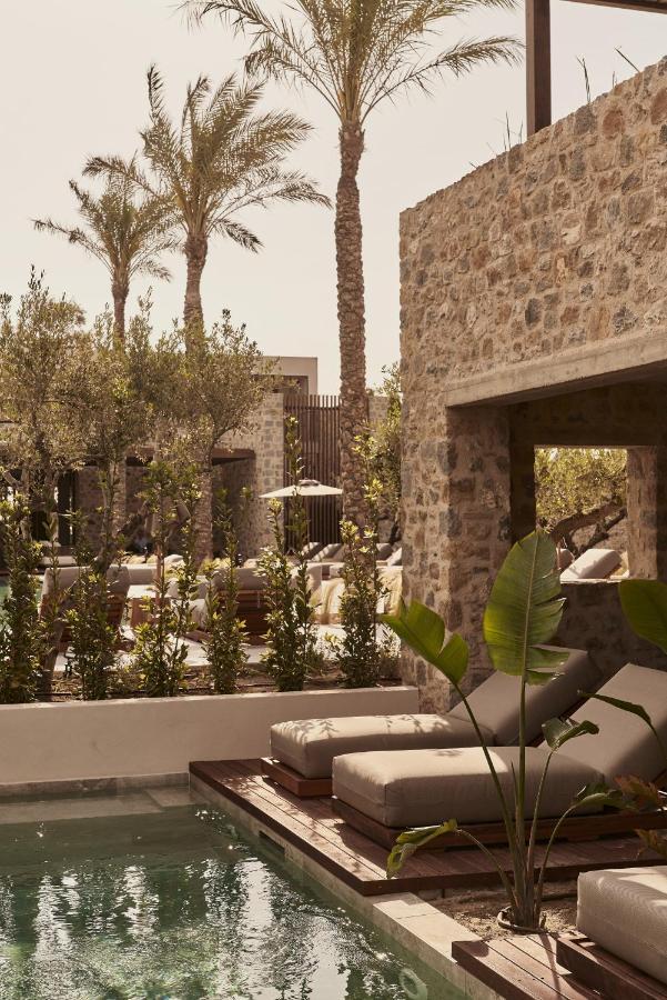 Swim-Up Suite