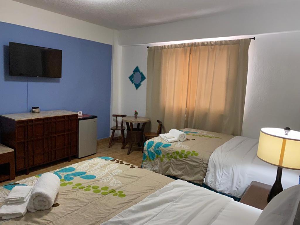 Tokio or Standard Single Room