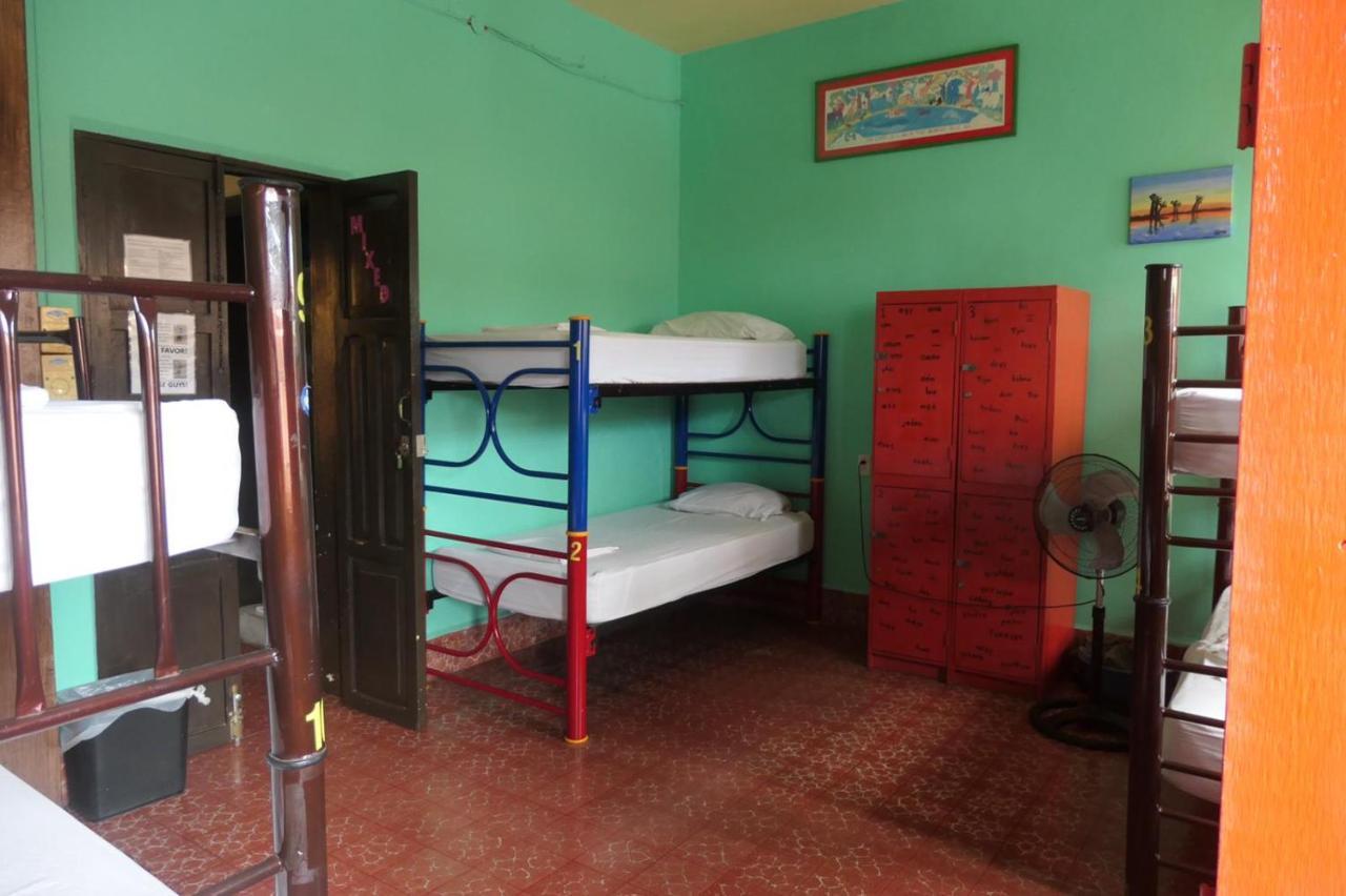 Single Bed in Mixed Dormitory Room