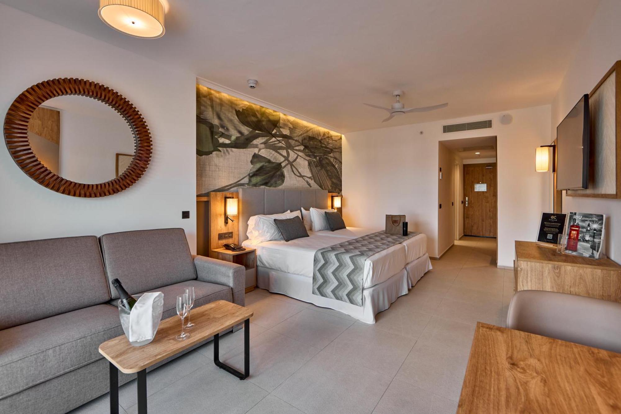 Suite Junior - Elite Club