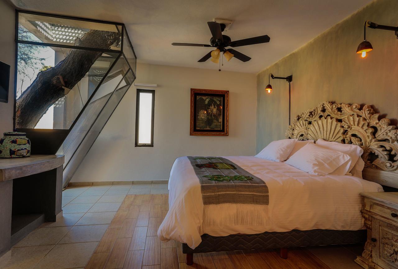 Suite con terraza