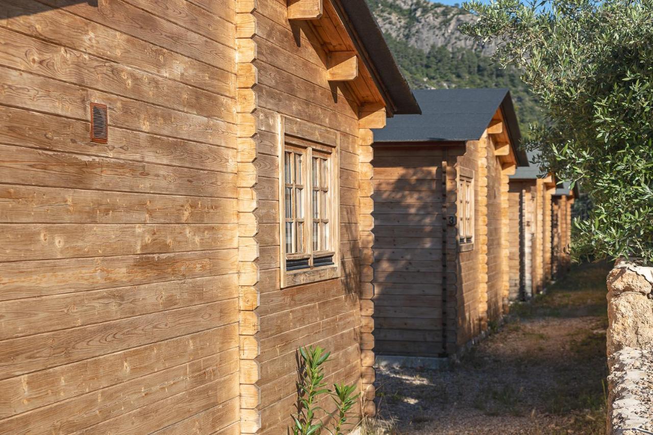 King Studio,1681779679:JPEG