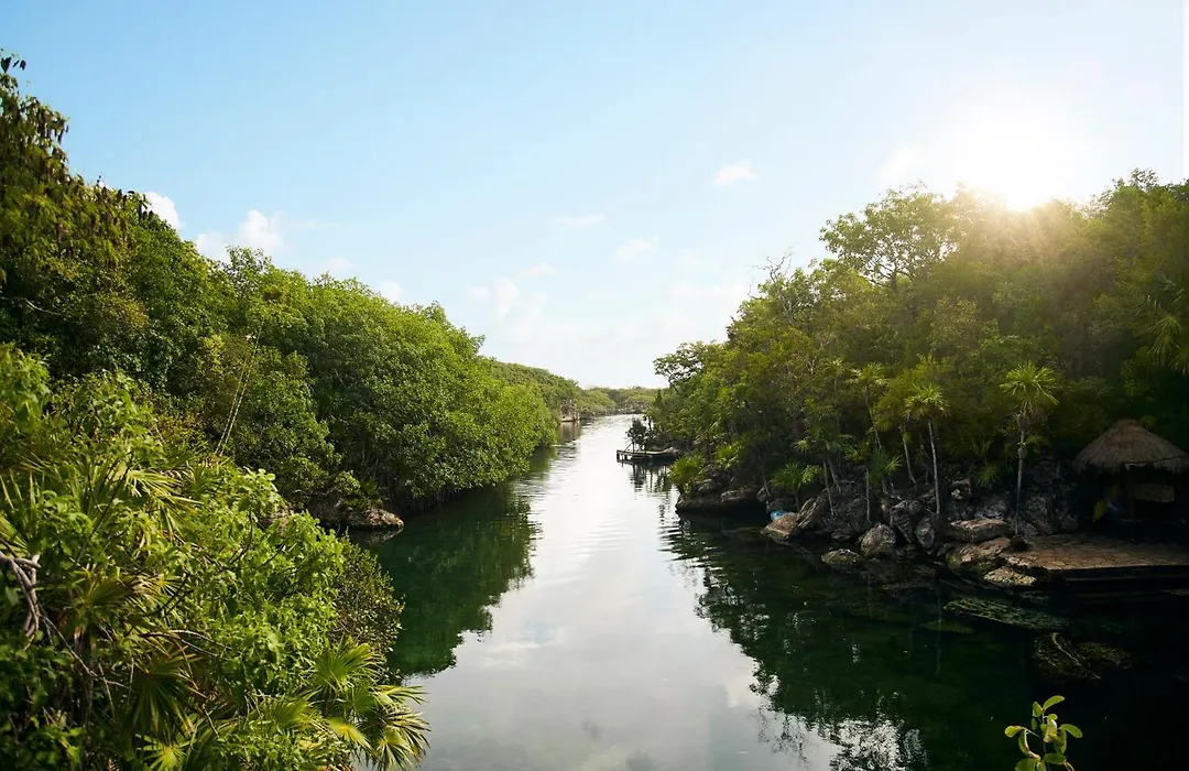 Hotel Xcaret Arte - All Parks All Fun Inclusive - Adults Only-1