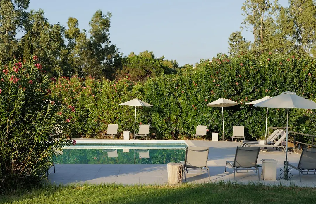 Livadi Nafsika Hotel (Adults Only)-1
