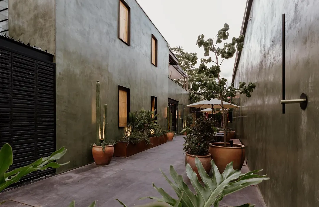 Majagua Hotel Boutique -Adults Only-1