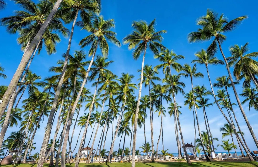 Viva V Samana By Wyndham, A Trademark Adults All Inclusive-1