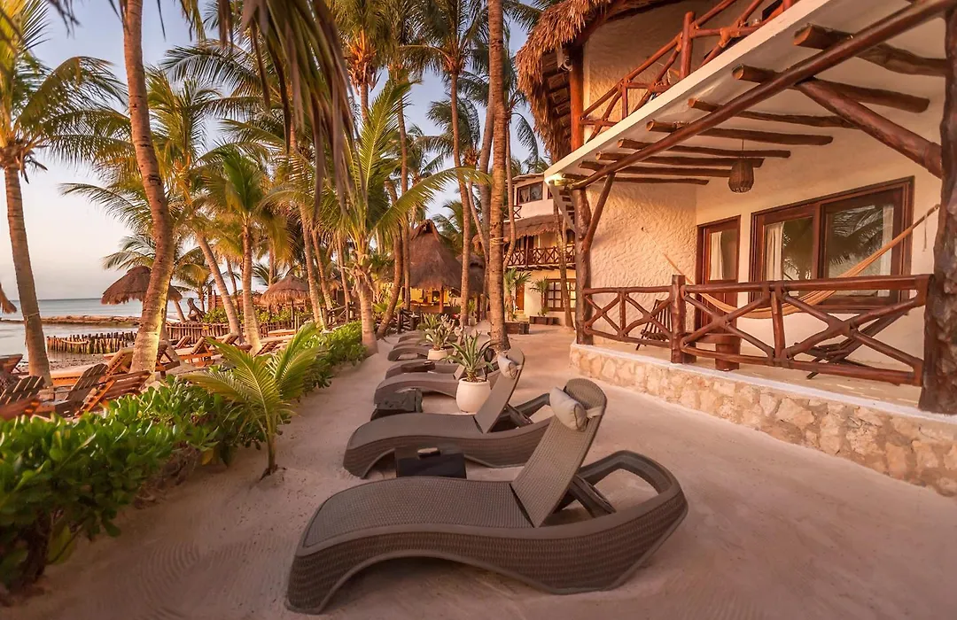 Beachfront Hotel La Palapa - Adults Only-1