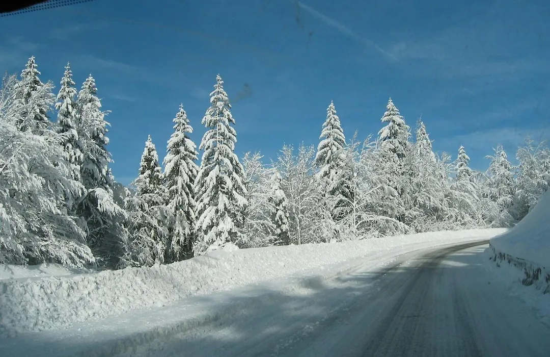 Relais Mont Jura Adults Only-1