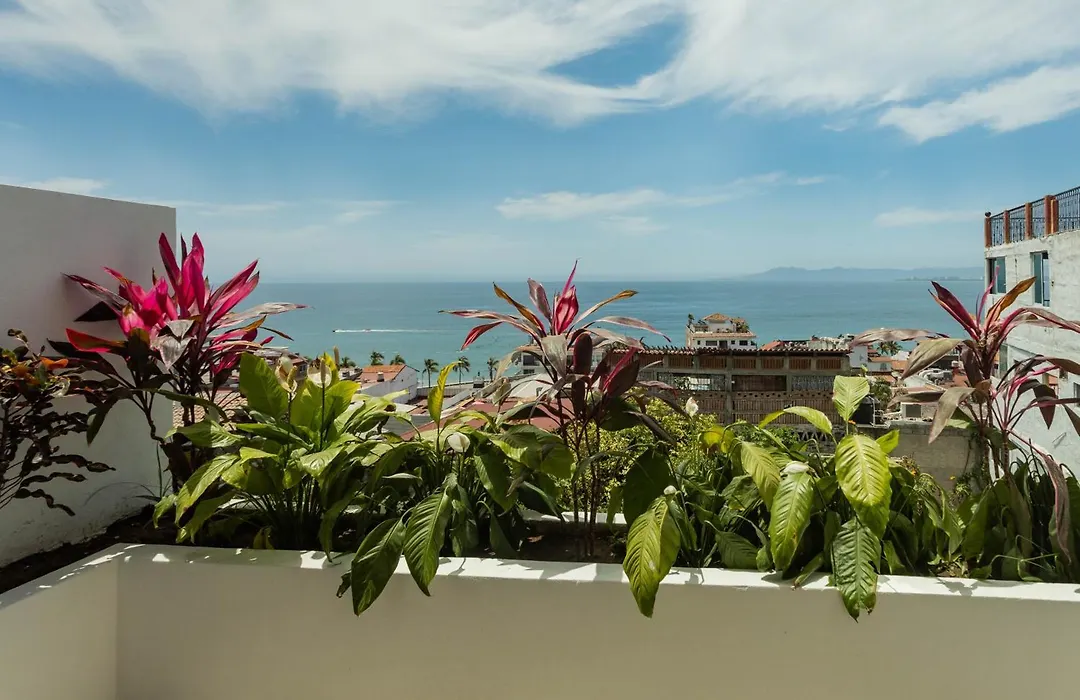 Casa Nawalli Puerto Vallarta Boutique Hotel - Adults Only-1