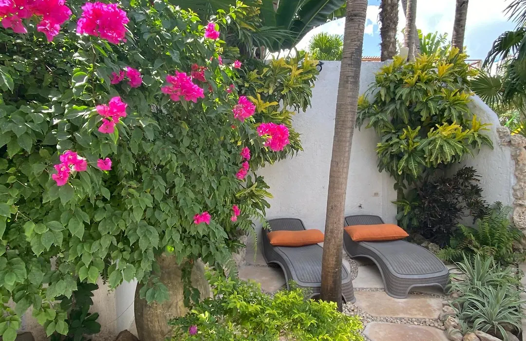Hotel Para Ti - Adults Only-1