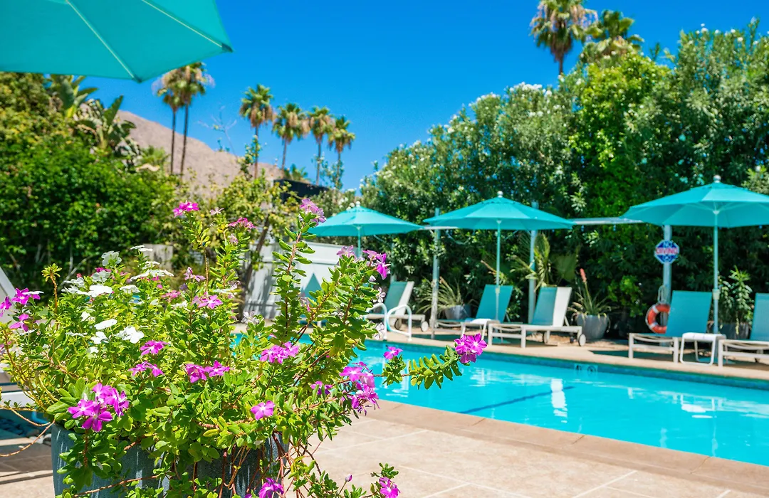 Bellevue Oasis - Adults Only-1