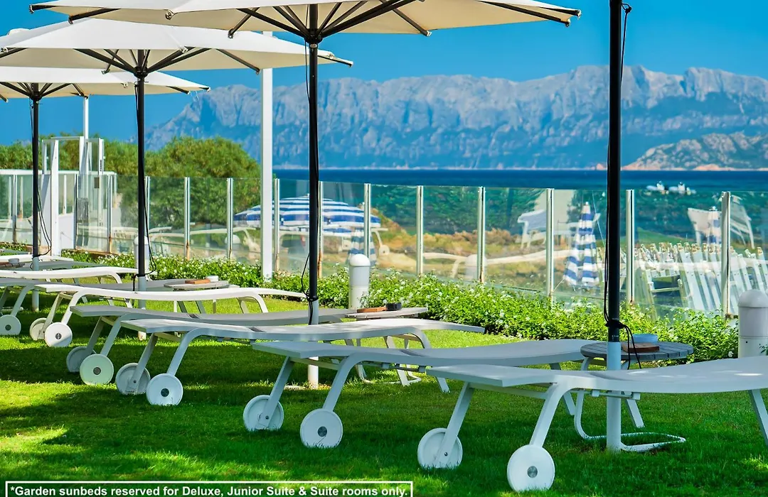 The Pelican Beach Resort & Spa - Adults Only-1
