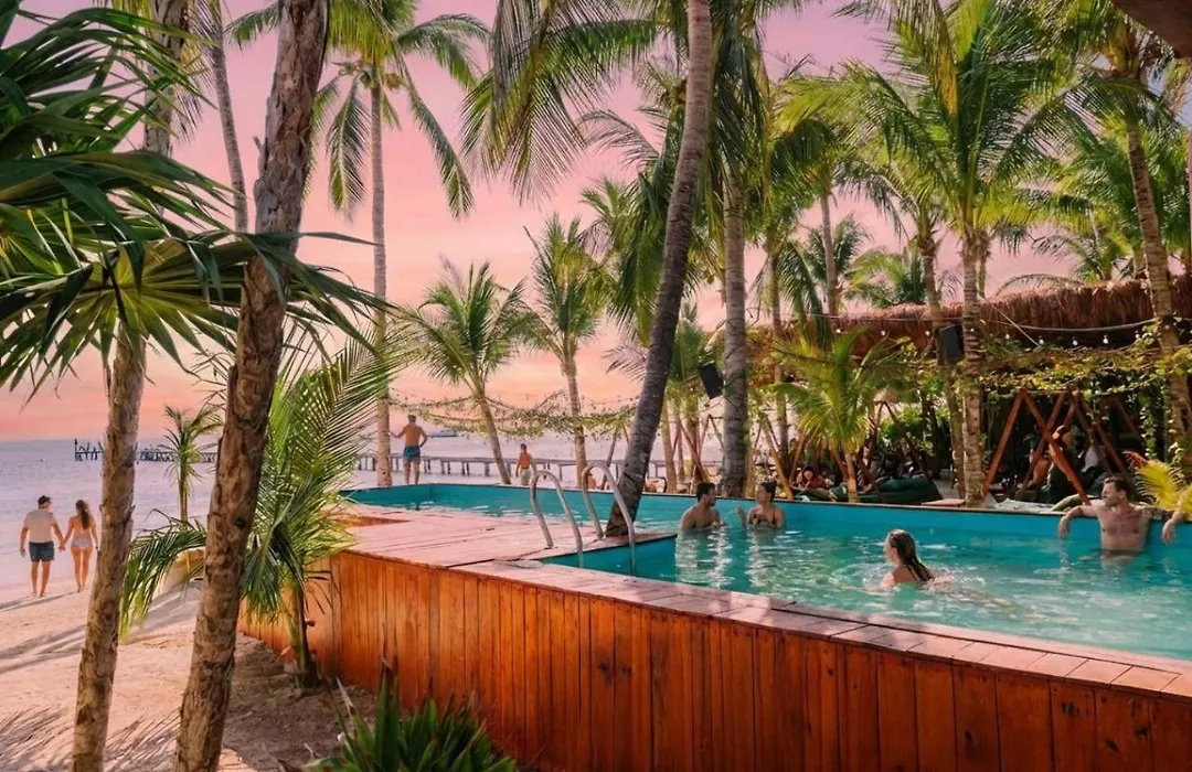 Mayan Monkey Isla Mujeres - Social Hotel (Adults Only)-1