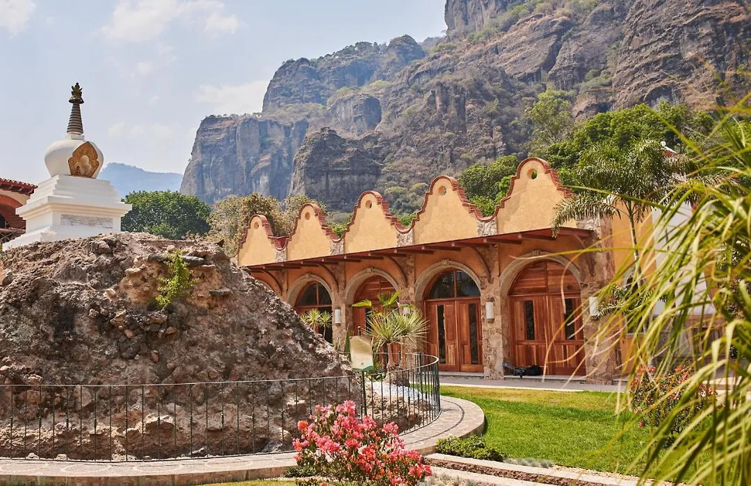 La Buena Vibra Wellness Resort & Spa (Adults Only)-1