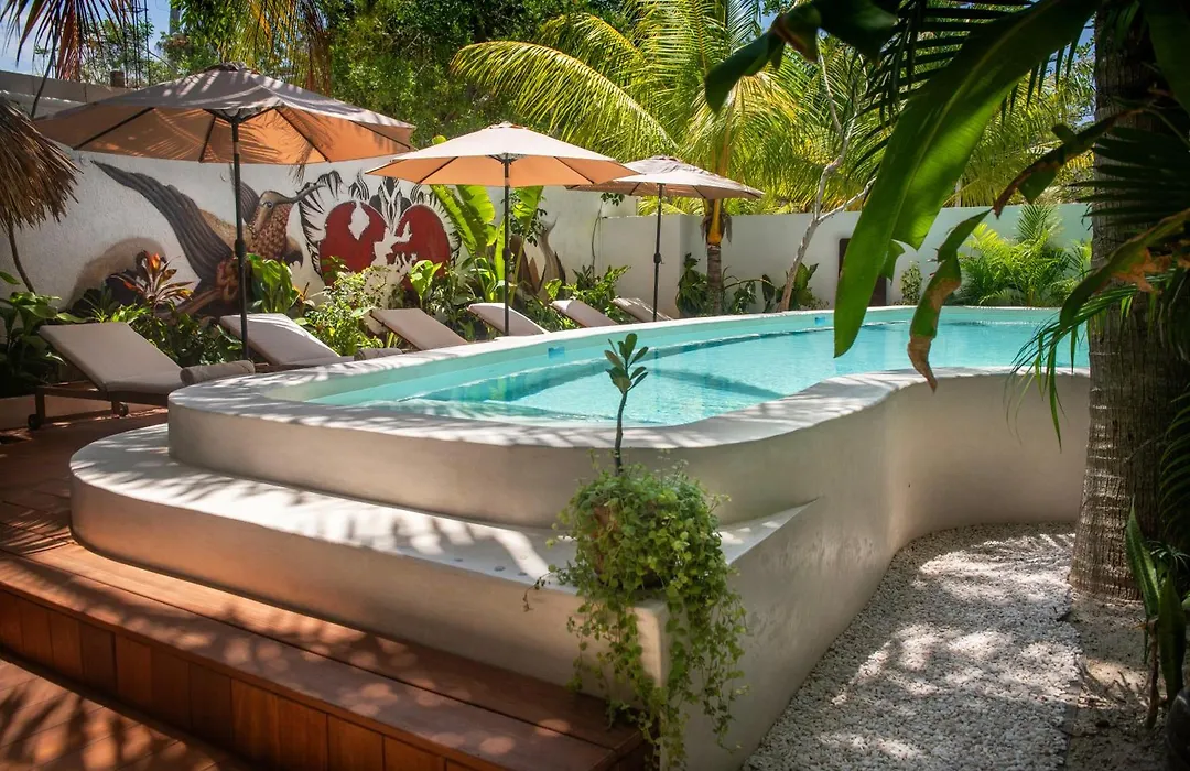 El Corazon Boutique Hotel - Adults Only With Pool & Beach Club Access-1