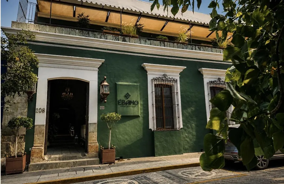 Ebano Hotel Boutique (Adults Only)-1