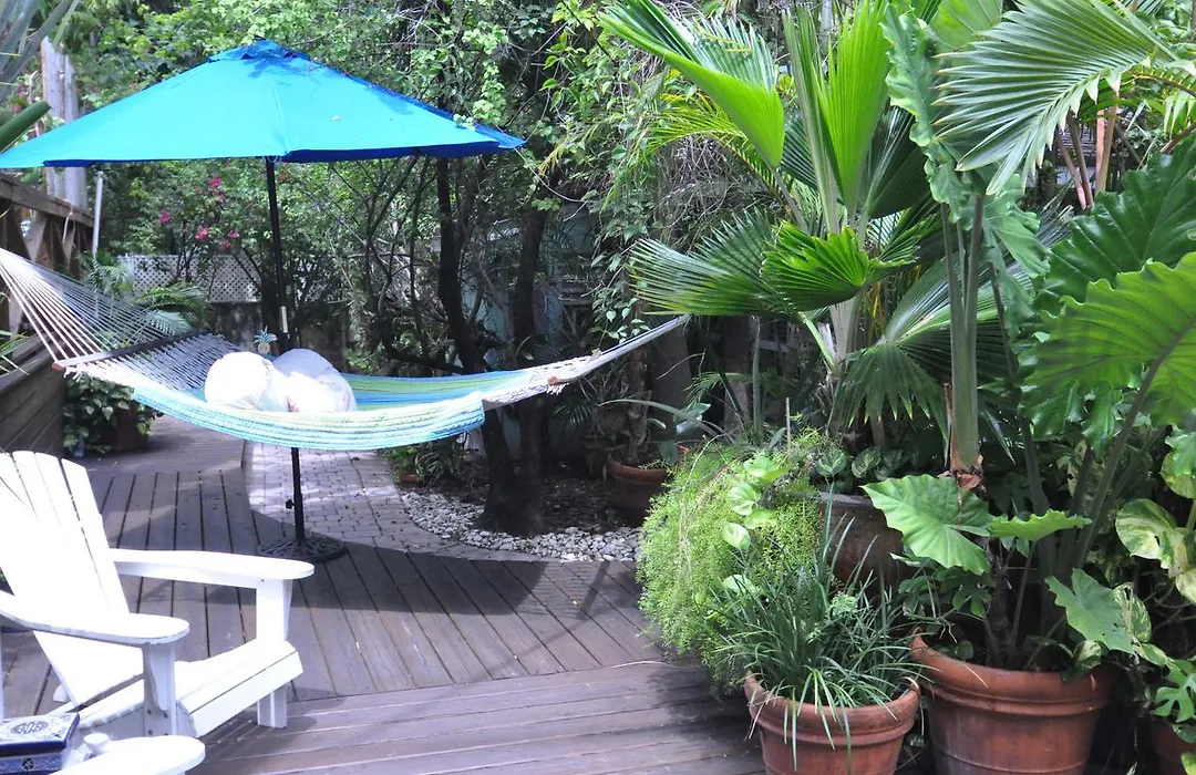 Pineapple Point Guesthouse & Resort - Gay Men'S Resort-1