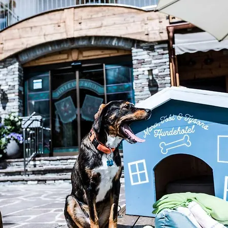 ALPENHOTEL TYROL - B&B - ADULTS ONLY - Alpines Lifestyle-Konzepthotel - dog friendly-2