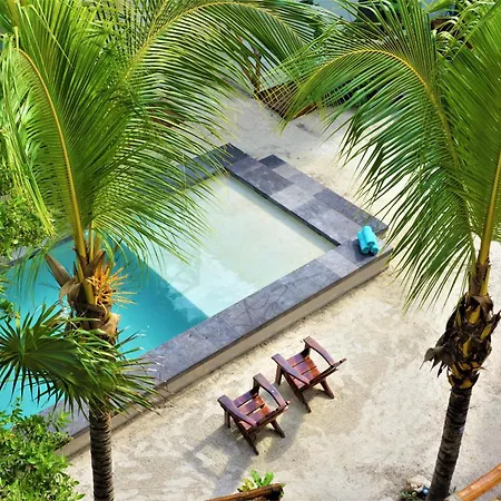 Hotel Boutique La Puerta Azul Beachfront - Adults Only-3