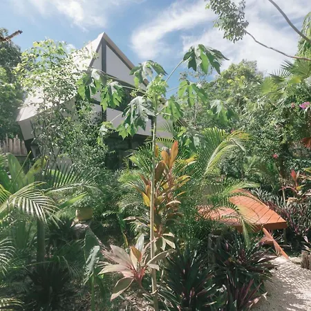 Nahouse Jungle Lodges-2