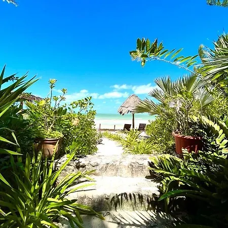 Casa Tom Tom - Beachfront Boutique Hotel (Adults Only)-2