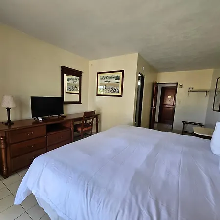 Selva Boutique Hotel - Luquillo Oceanfront Retreat - Adults Only-3