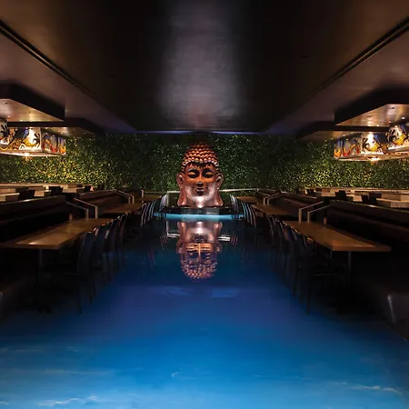 Hard Rock Hotel Riviera Maya (Adults Only)-2