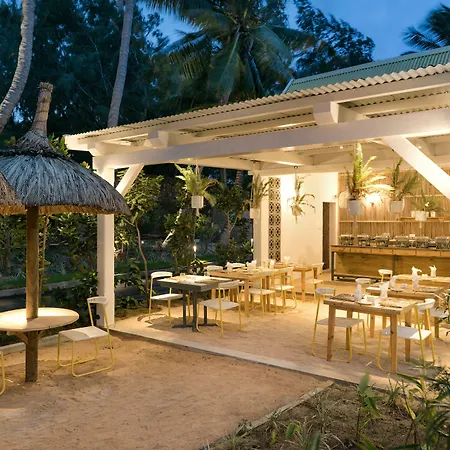 Tropical Attitude (Adults Only)-2