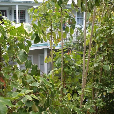 Coco Plum Inn-3