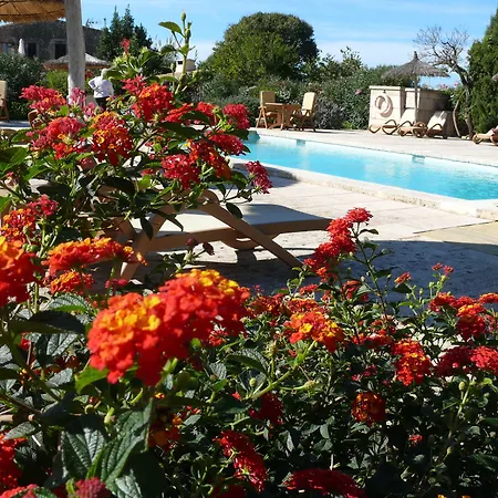 Hotel Sa Carrotja - Adults Only-2