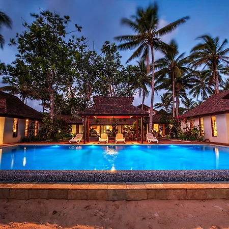 Maui Palms-3