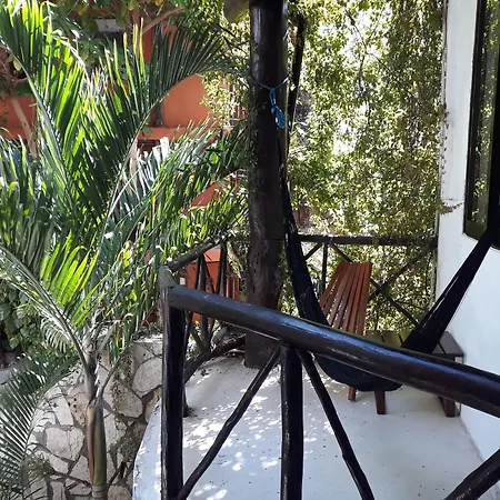 Siesta Fiesta Hotel - 5Th Avenue (Adults Only)-3
