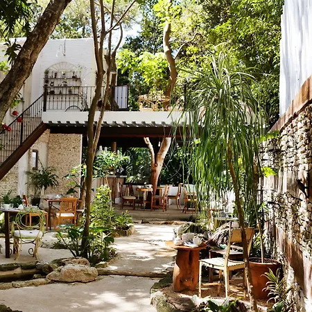Hotel La Semilla A Member Of Design Hotels (Adults Only)-2
