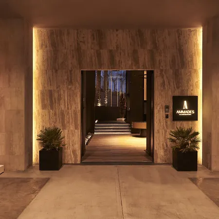 Ammades All Suites Beach Hotel & Spa - Adults Only-3