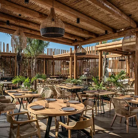 Indigo Inn Casa Adults Only-2