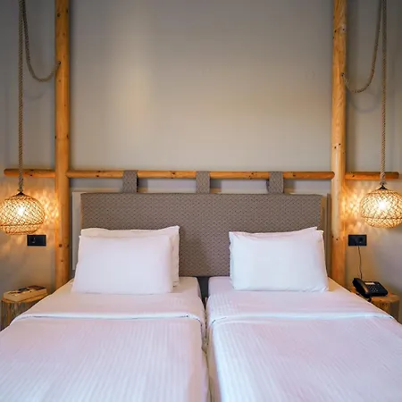 Asana Hotel-3