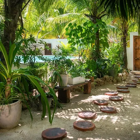 El Corazon Boutique Hotel - Adults Only With Pool & Beach Club Access-3