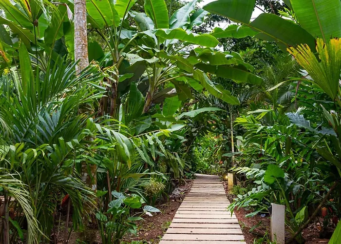 La Paz Del Caribe Adults Only Bed & Breakfast Puerto Viejo de Talamanca