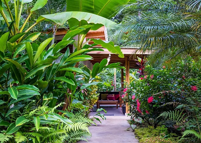 La Paz Del Caribe Adults Only Bed & Breakfast Puerto Viejo de Talamanca