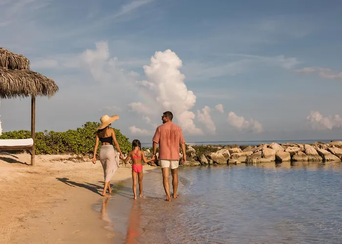 Adult Only ResortsHyatt Ziva Rose Hall (Adults Only)