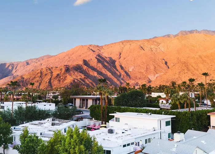 The Cactai Hotel Palm Springs