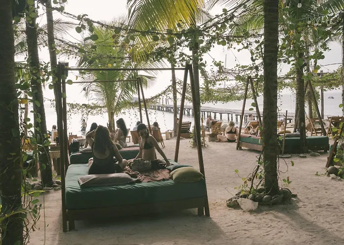 Adult Only ResortsMayan Monkey Isla Mujeres - Social (Adults Only)