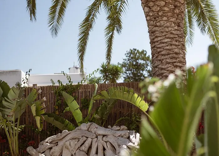 Hotel Galfi - Boutique & Adults Only San Antonio Abad