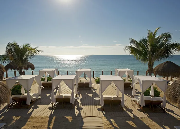Ocean Maya Royale Adults Only Lafitte